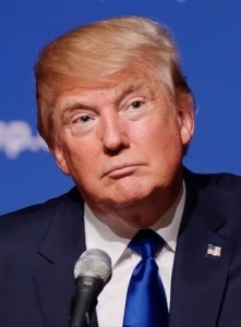 The Donald. Photo by Michael Vadon. Courtesy Wikimedia Creative Commons