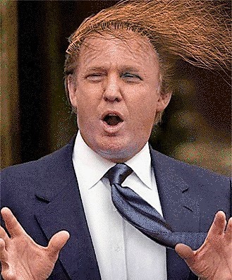 Thar he blows. President-elect Trump. Photo courtesy of U.S. Rep. Charles B. Rangell